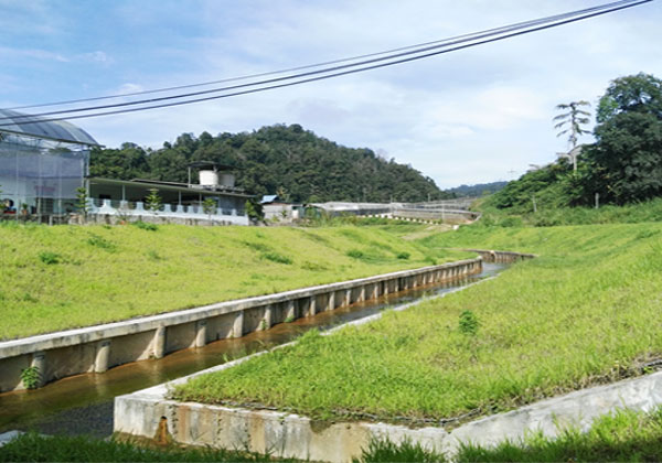 Green-MSE-Gabion-img2